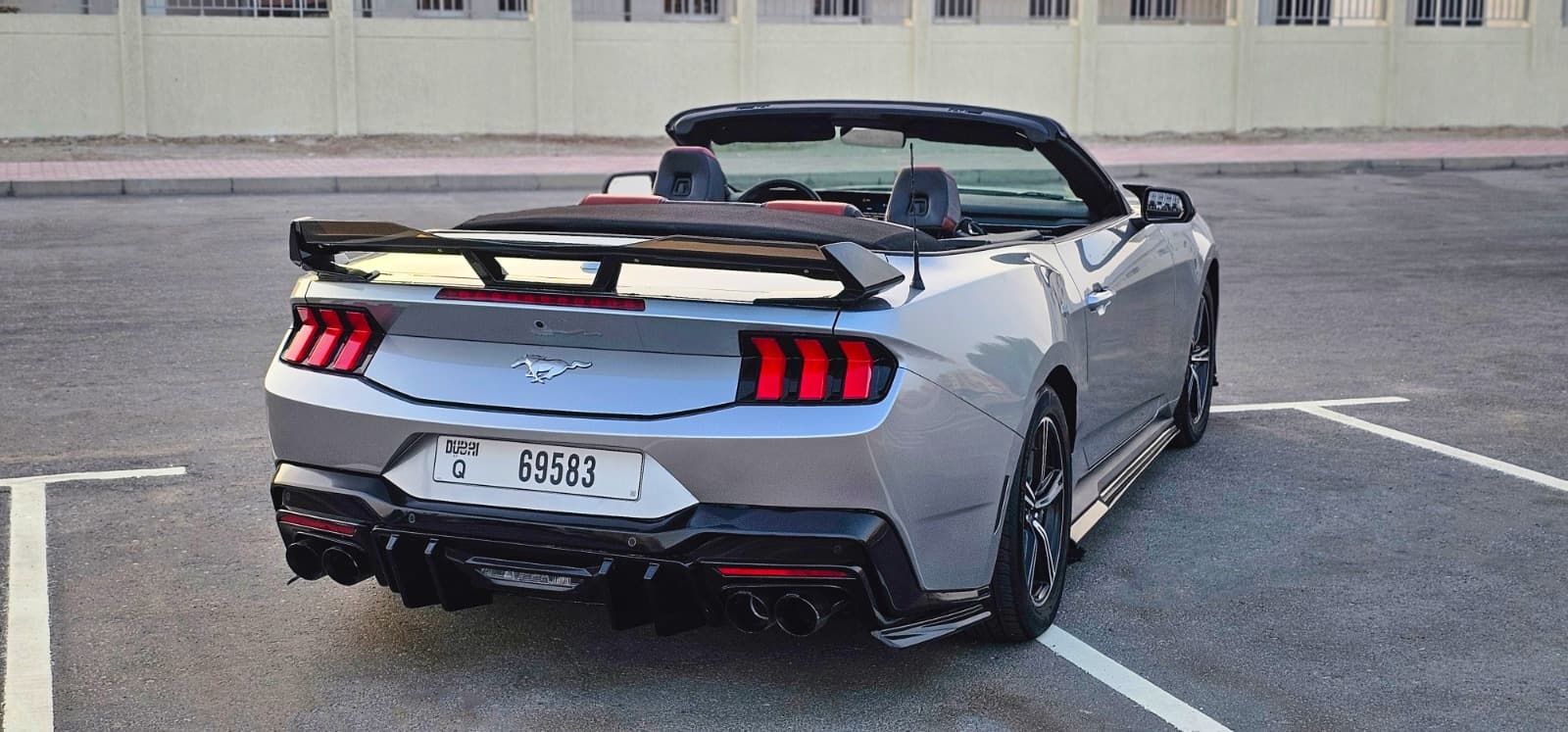 mustang - 3