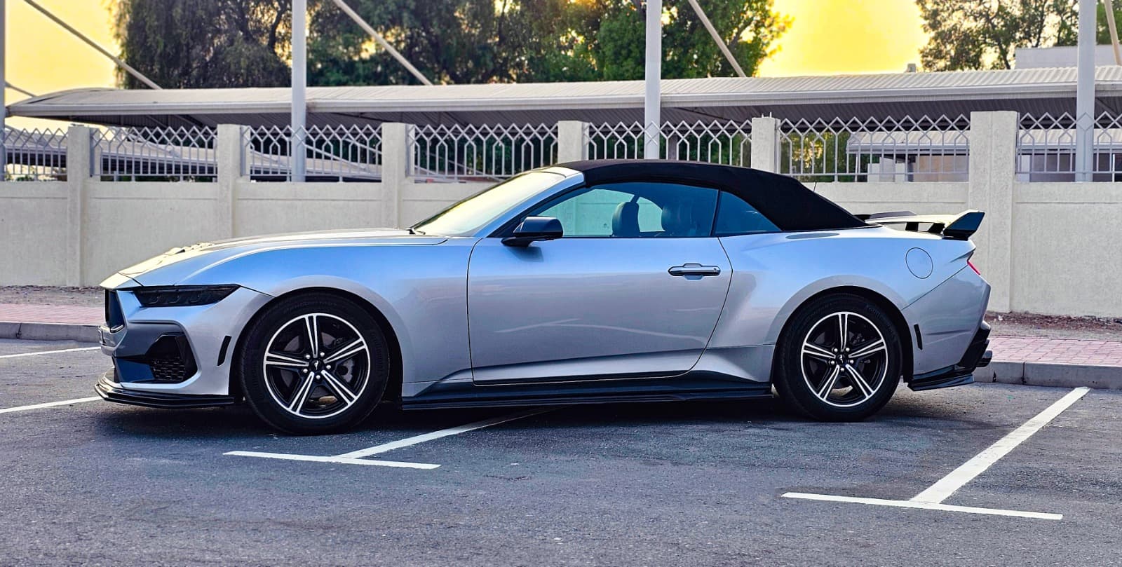 mustang - 5