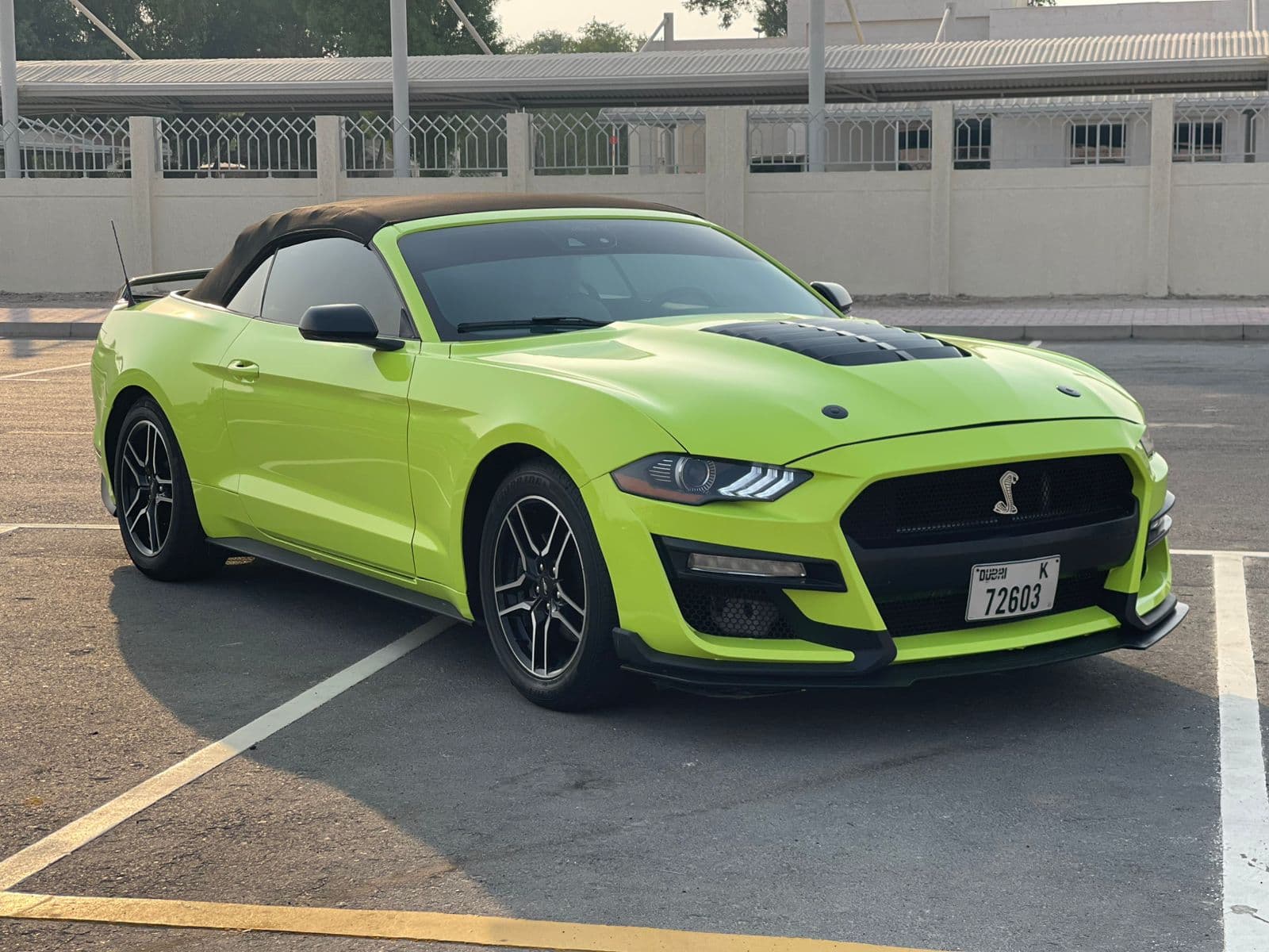 mustang - 2
