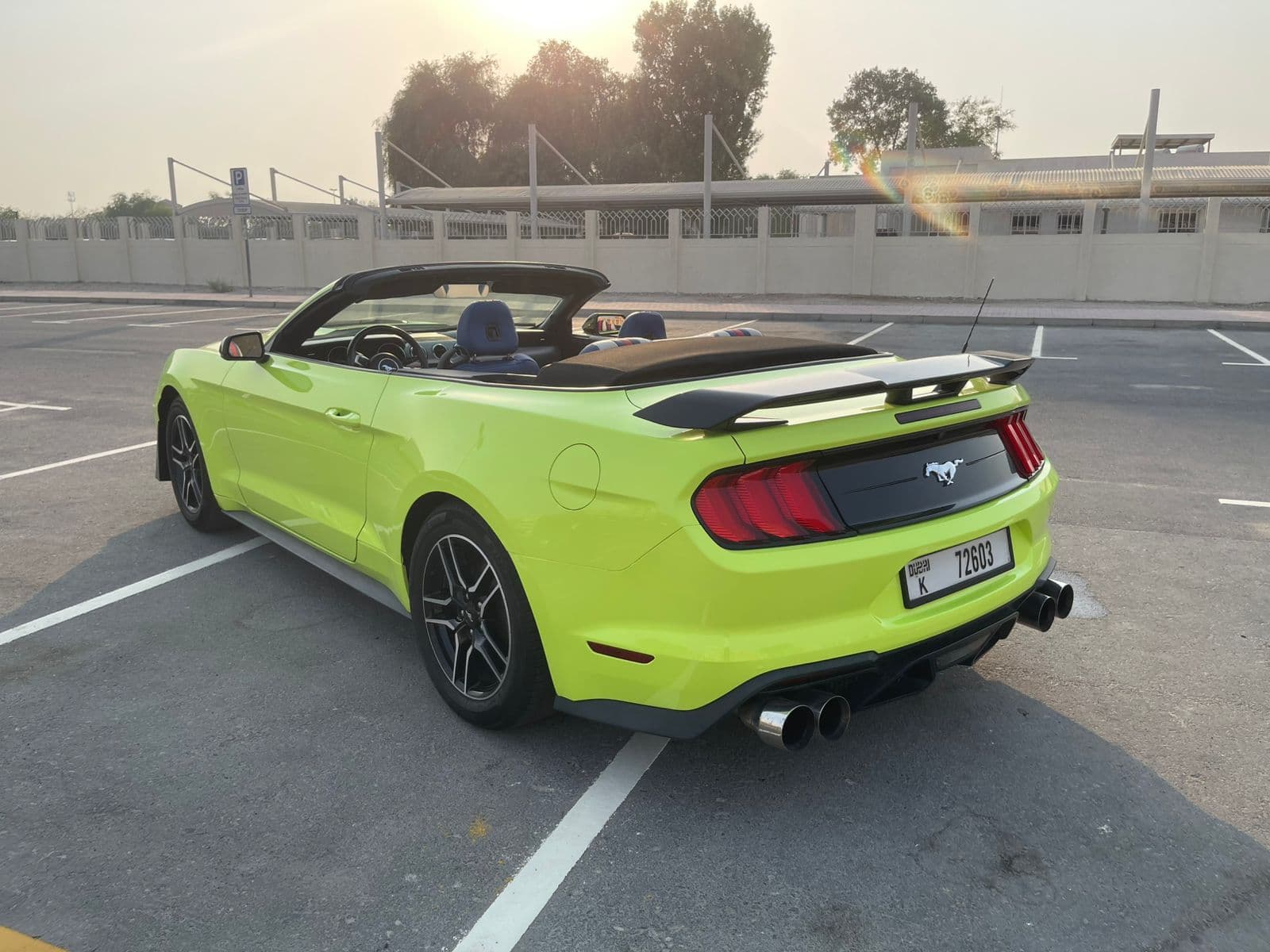 mustang - 3